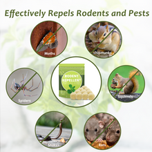 Load image into Gallery viewer, Zelikovitz Natural Mouse Repellent 10 Pack, Peppermint Oil to Repel Mice and Rats, Squirrel Repellent for Attic, Mice Deterrent Rodent Repellent for House Garages RV Indoor &amp; Outdoor Use