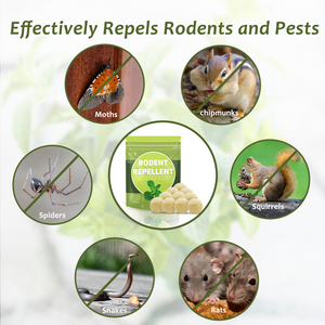 Zelikovitz Natural Mouse Repellent 10 Pack, Peppermint Oil to Repel Mice and Rats, Squirrel Repellent for Attic, Mice Deterrent Rodent Repellent for House Garages RV Indoor & Outdoor Use